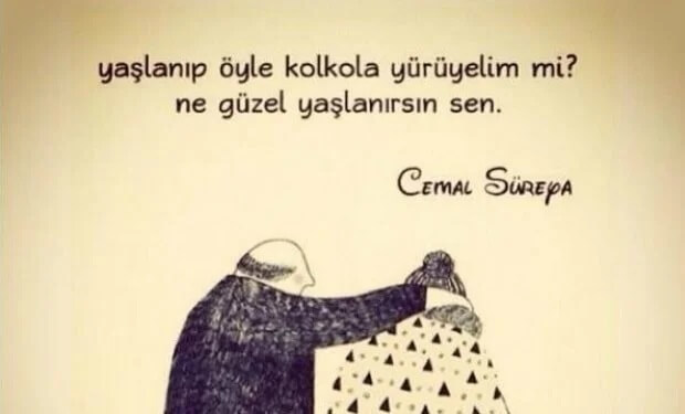 cemal süreyya aşk şiirleri